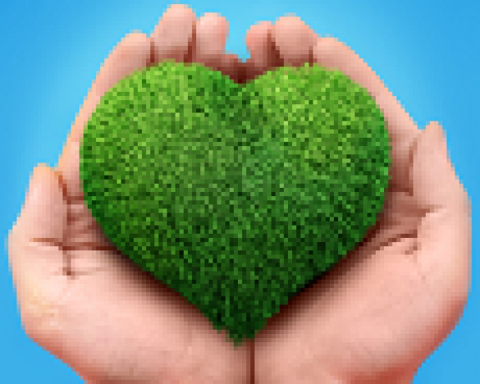 В Киеве состоится «Украинский ЭКО-пикник»