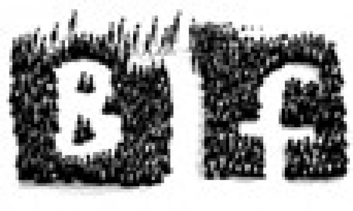 Украинцы отказываются от российских соцсетей в пользу западных