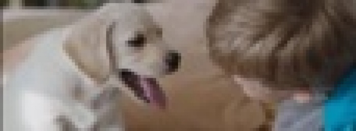 Самый милый ТВ-ролик от креативного агентства TWIGA Idea